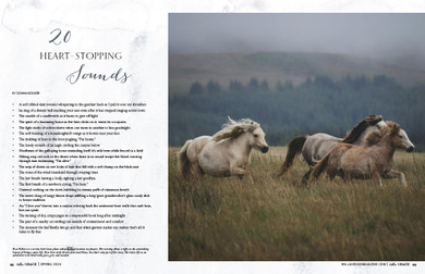 Bella Grace Issue 39