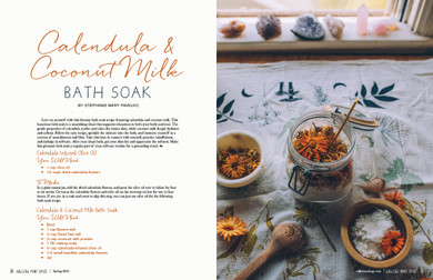 Willow and Sage Spring 2024 Instant Download