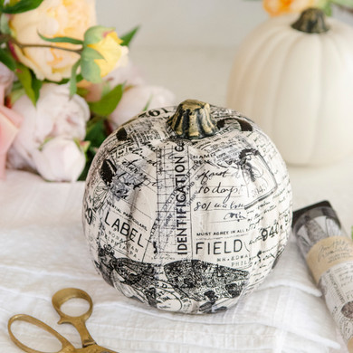No-Carve Pumpkin Decorating Project