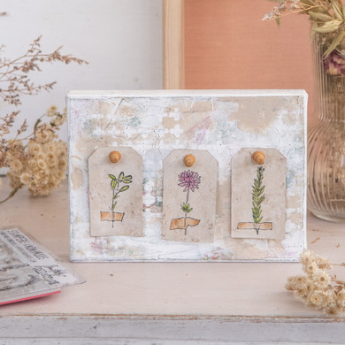 DIY Forgotten Garden Specimen Board Project