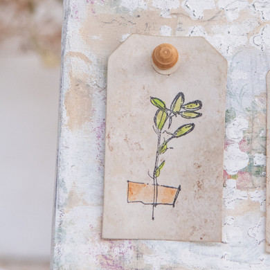 DIY Forgotten Garden Specimen Board Project