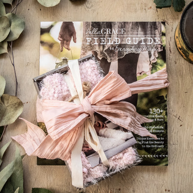 Field Guide to Cozy Gift Bundle