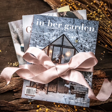 Dream Big Bestsellers Bundle
