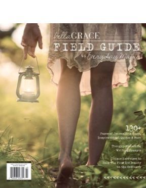 Field Guide to Everyday Magic