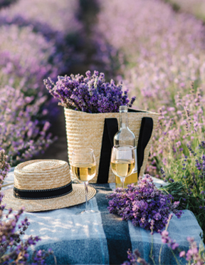 Romantic Living Publication
