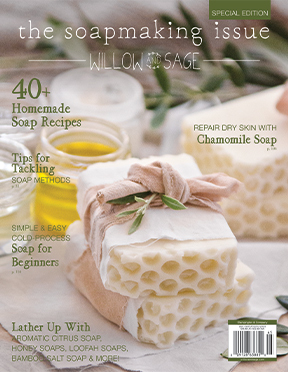 The Soapmaking Issue