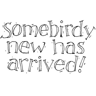 Somebirdy New Wood Mounted Stamp by Karen Foster