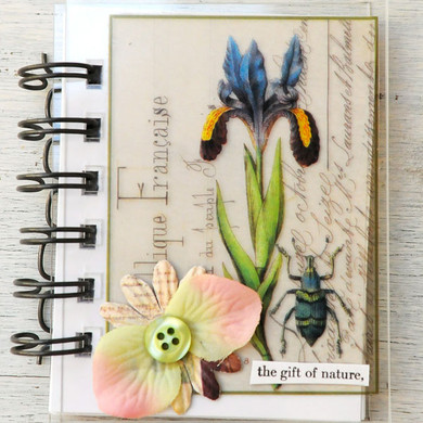 Nature Mini Books  Project by Audrey Hernandez