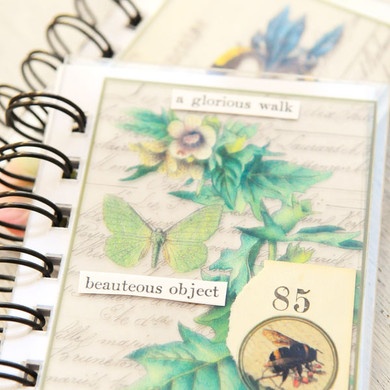 Nature Mini Books  Project by Audrey Hernandez